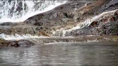 綺麗な流れる水