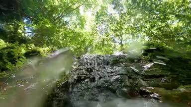 見上げる滝の水滴と新緑