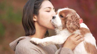 犬にキスをする女性