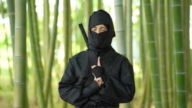竹やぶで目を瞑り色々なポーズをする忍者
