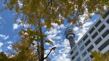 横浜マリンタワーと秋の青空