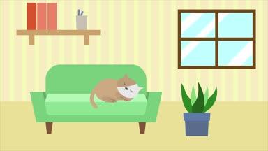ソファーで眠るネコ　背景動画