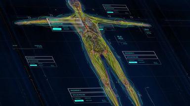 Human body data