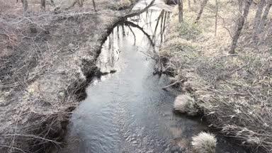 早春の穏やかな小川の流れ 北海道