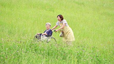 草原を車椅子で散歩する高齢女性