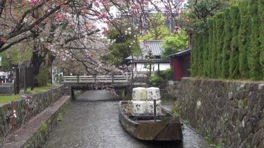京都、高瀬川一之船入の春景色と高瀬舟 