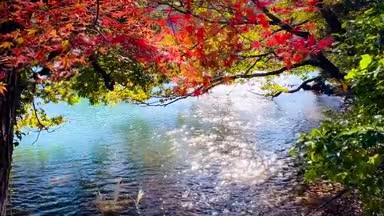 湖の秋