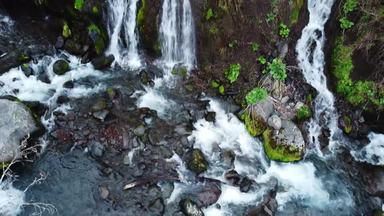 川俣川渓谷の静かに流れる清流「吐竜の滝」
