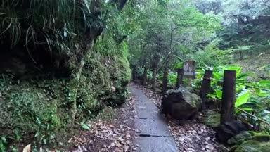 東京八丈島の裏見ヶ滝の小道