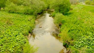 新緑の川の流れ 北海道釧路町