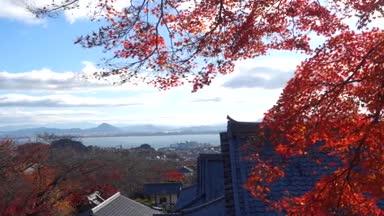 滋賀県大津市の西教寺境内の秋景色と琵琶湖