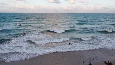 サーファーのいるマイアミのビーチ