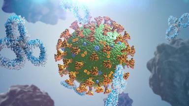 viruses and antibodies green blue gold