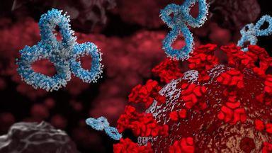 virus and antibody red blue
